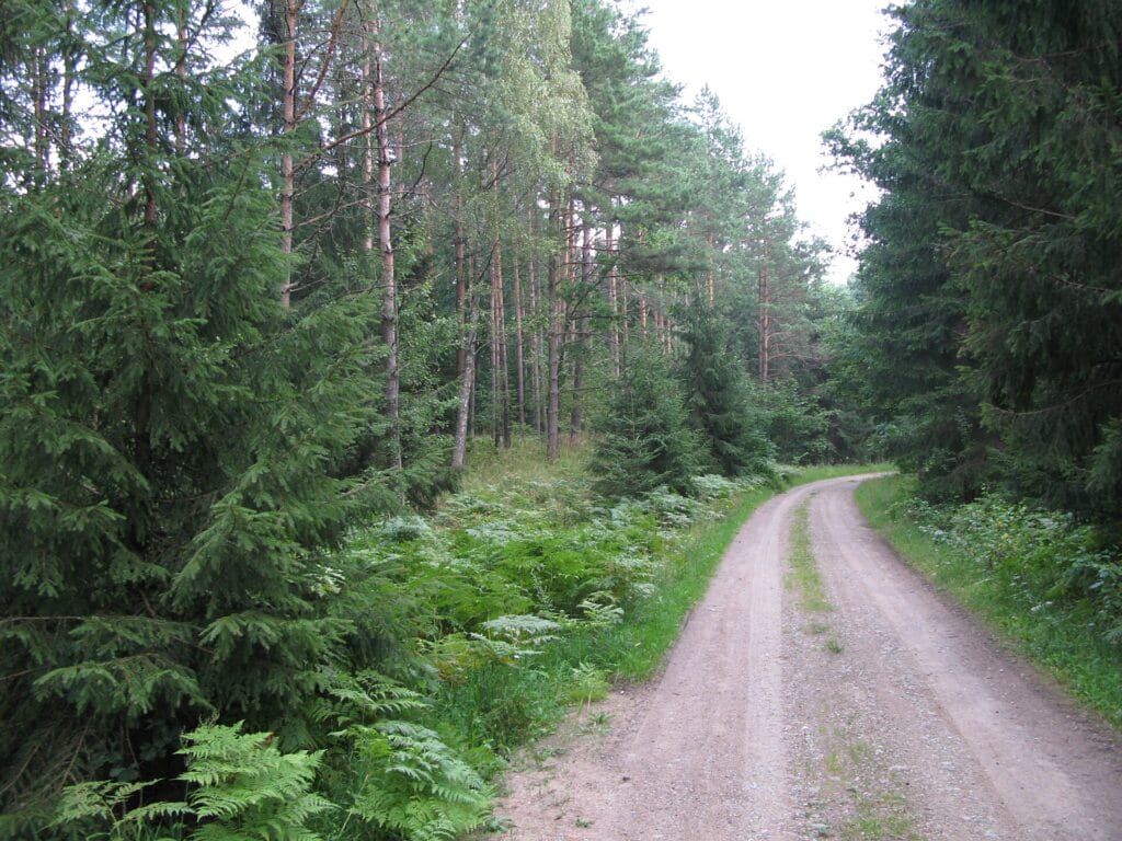 Puszcza Romincka
