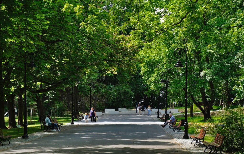 Park im. Wojciecha Bednarskiego w Krakowie
