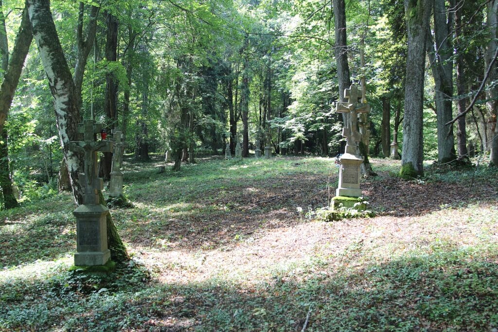 Świerzowa Ruska