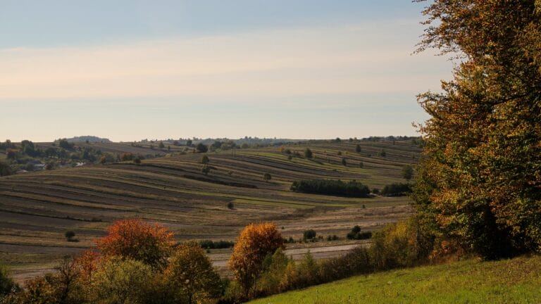 Roztocze